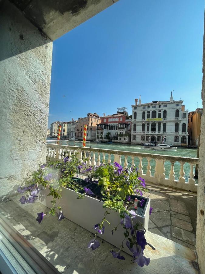 Luxury On The Gran Canal With Wonderful View Lejlighed *